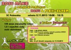 BOSU_manie_listopad_2013_nalezato_small.jpg