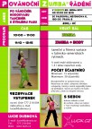 Povanocni_zumba_radeni_2011_small.jpg